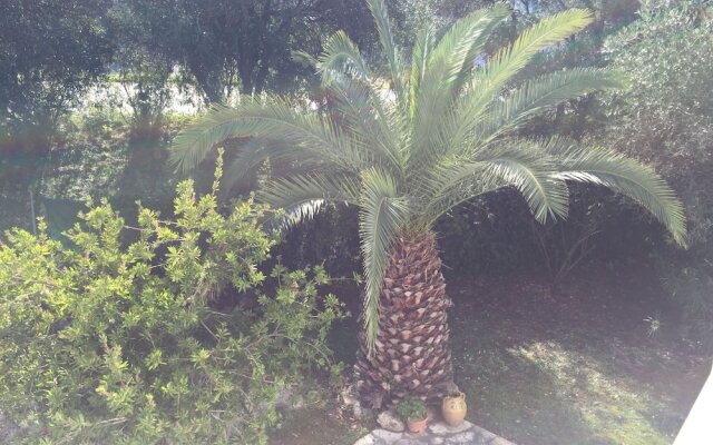 Alexander Apartments