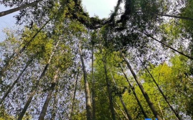Zizai Pingjiang Wild Luxury Resort