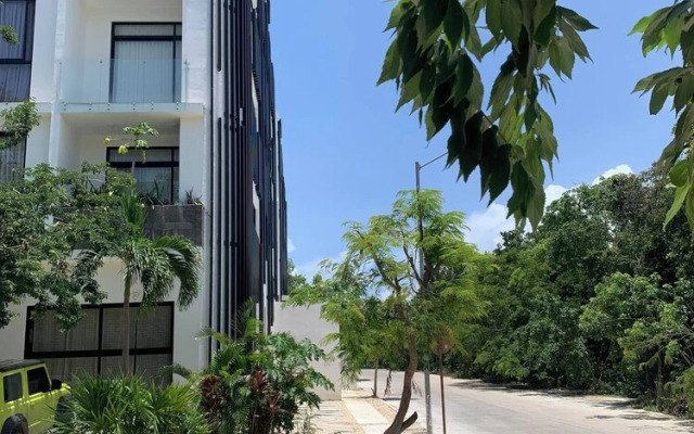 Perfect Studio Light and Nature in Aldea Zama