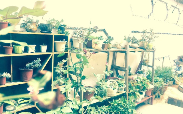 Guisu Boutique Hostel