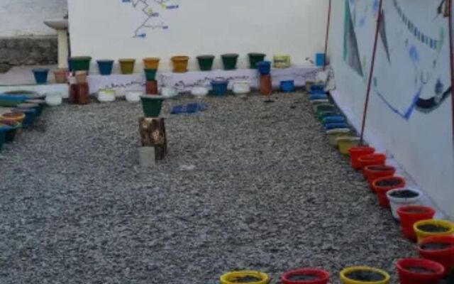 Piggy Hostel Kaza