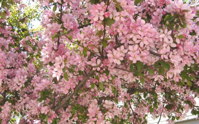 St. Vincent Row Suites