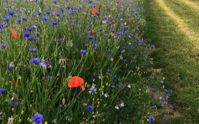 Ostseeferienwohnung Storchennest