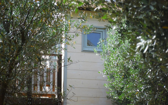 Palazzo Conforti Tree House Resort