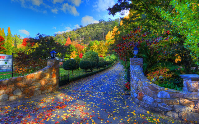 Chestnut Tree Holiday Apartments