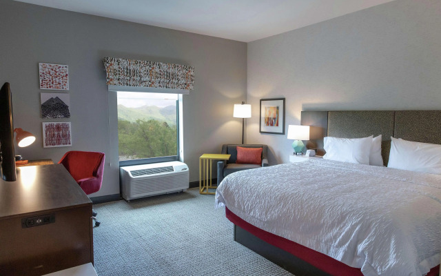 Hampton Inn Black Mountain