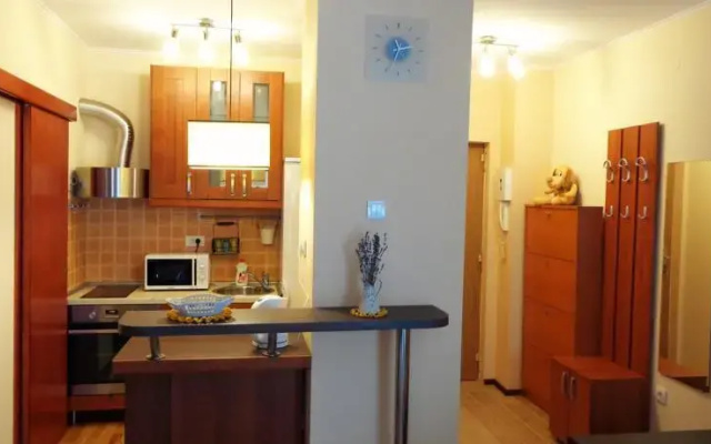 Apartment Vodnika