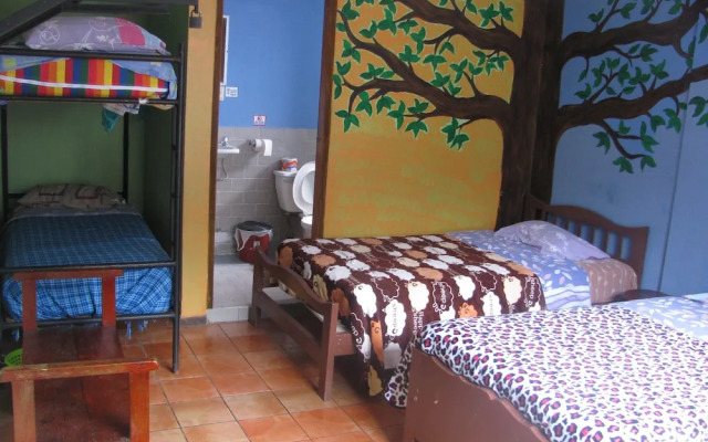 Hostal Transilvania