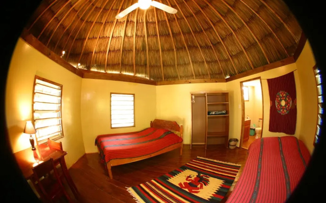 Cohune Palms River Cabanas