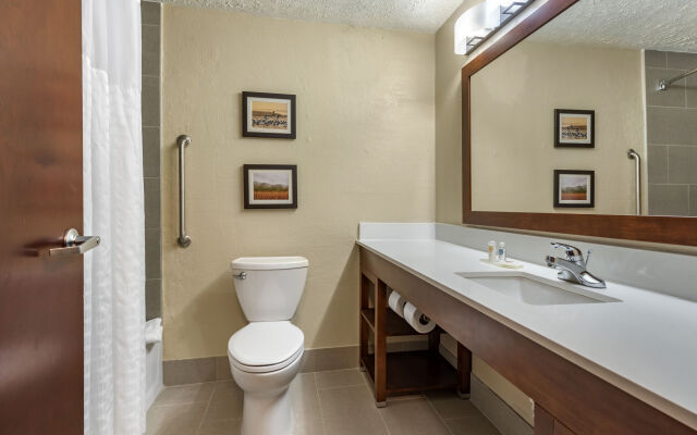 Comfort Inn & Suites Porter near Indiana Dunes
