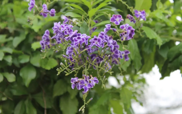 Super Cheap1 Homestay