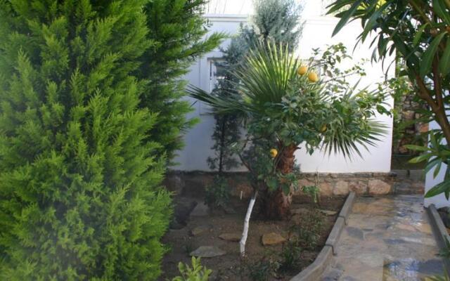 Luxury Villa Tilev