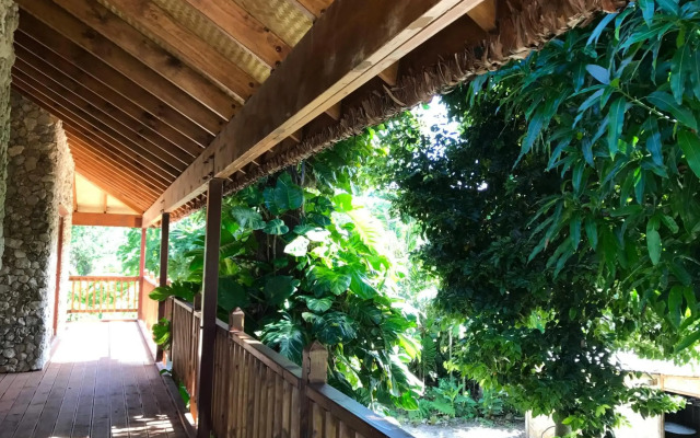 Tanna Evergreen Resort & Tours