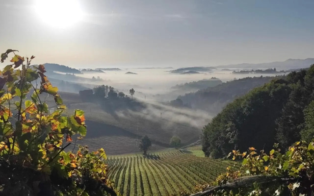 Weingut Fellner