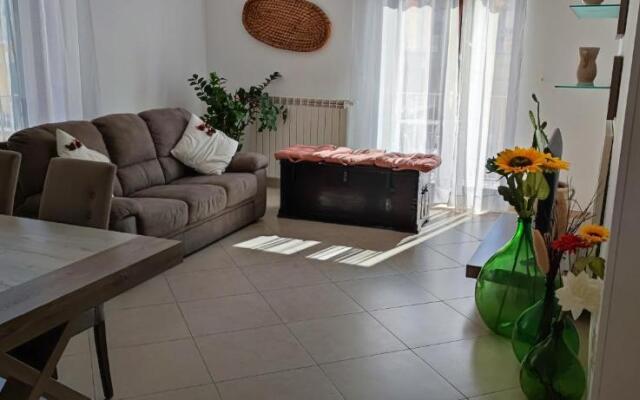 Serena GuestHouse