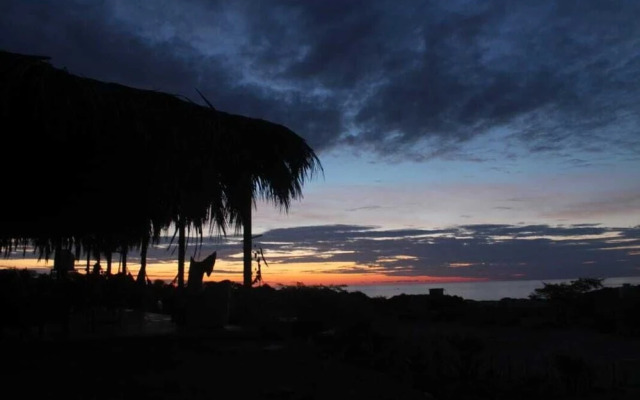 Tiki Surf House - Hostel