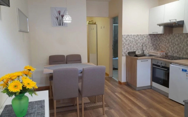 T & P- 200m From Centar City - SA1