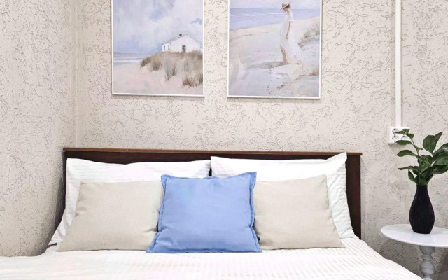 Апартаменты Исторический флигель на улице Писарева