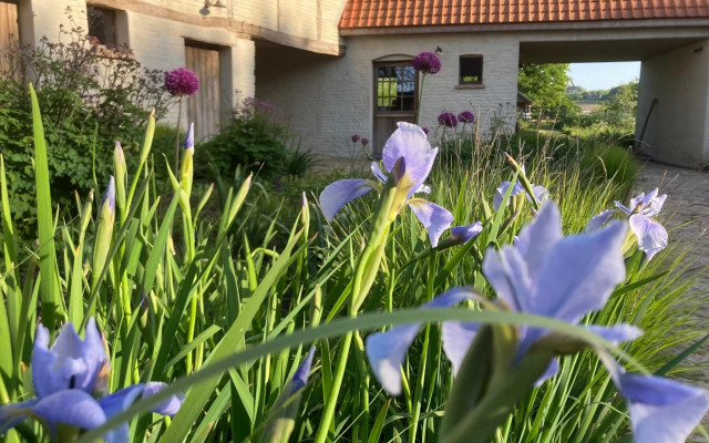 Nachtegael Hoekhuis, knusse woning tussen legendarische heuvels