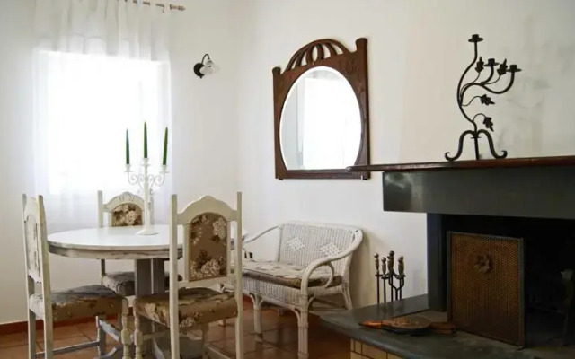 Tenuta Il Vigneto