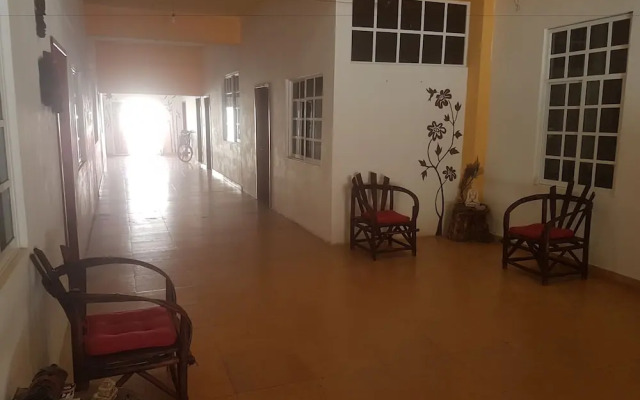 Cedro Tulum