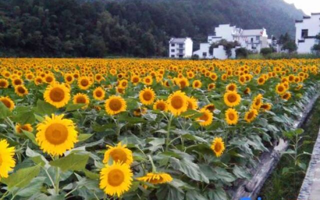 Xiuning Tingfengge Farmhouse