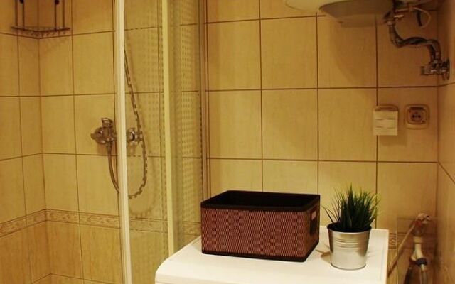 Cracovia 7 Kazimierz - Aao 48729