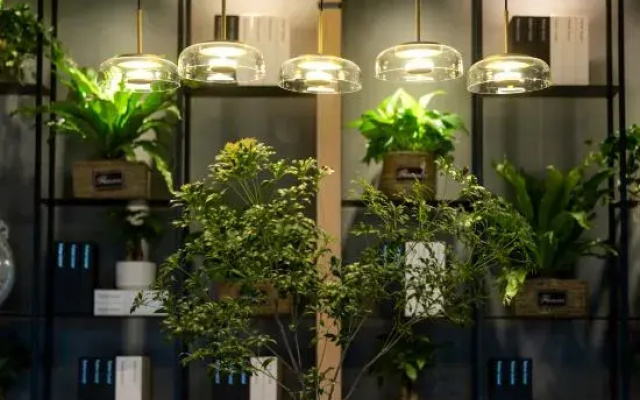 TRUE GO Hotel (Zhengzhou ITC 360 Plaza Grand Emporium)