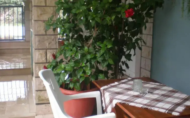 Apartments Sofka