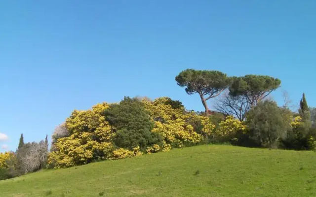 Casale del tiglio