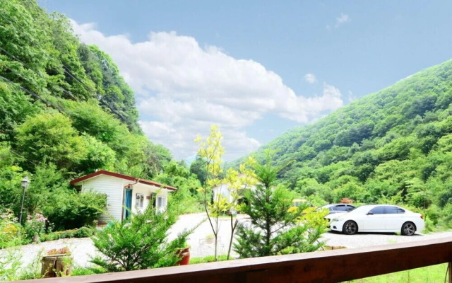 The Tree in the Lake