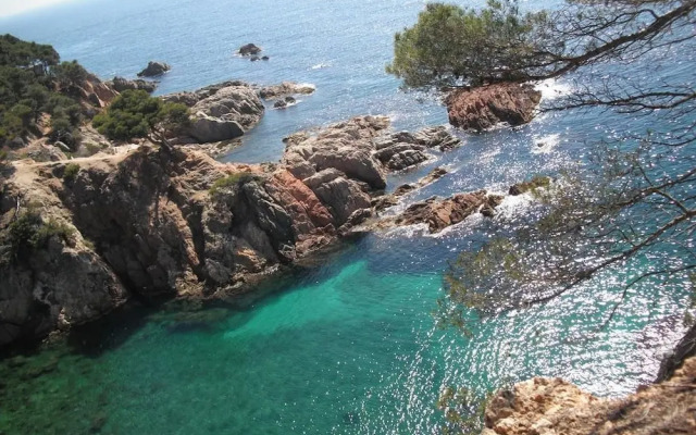 Hotel Mas Vilalonga Petit