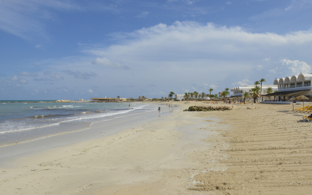Monarque Dar Jerba Narjess