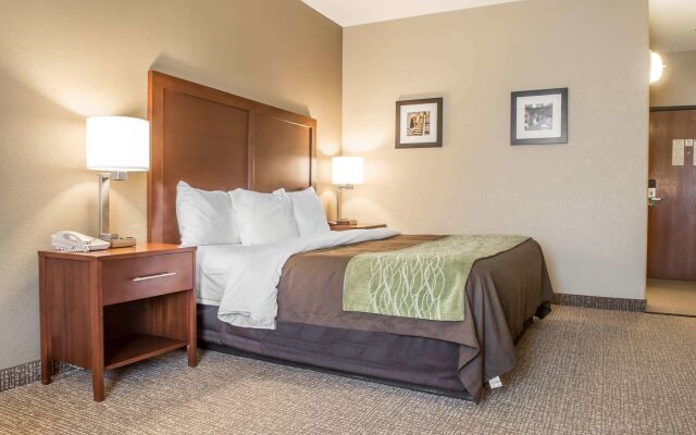 Comfort Inn Edinburg