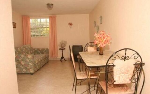 Palm Paradise Guest House and Apartments