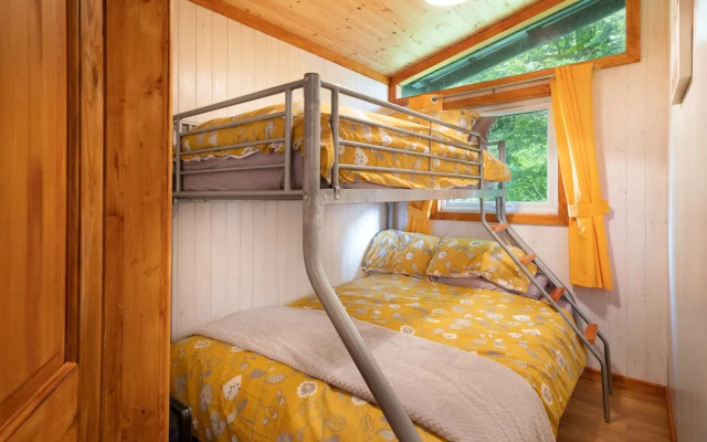 "catkin Lodge set in a Beautiful 24 Acre Woodland Holiday Park"