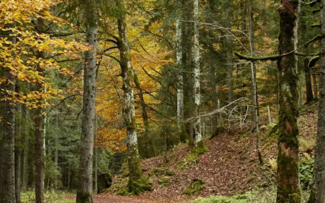 House Aurora, Schwarzsee, Fribourg