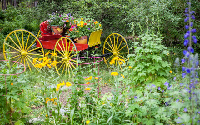 Hidden Valley Bed And Breakfast