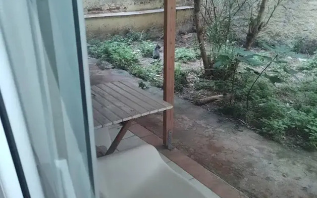 Center Apartment With Private Yard D11