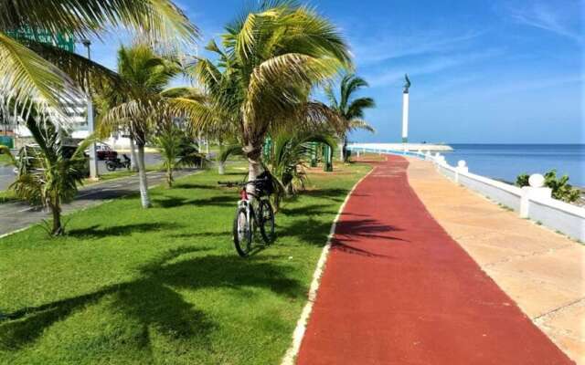 Kaeli's Caribbean Studios