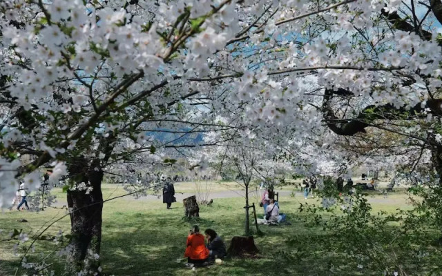 Suou Nijo Castle South