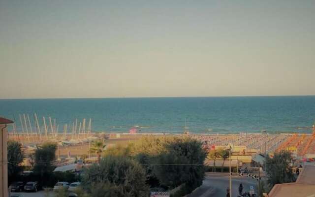 Sunflower Surf Youth Hotel