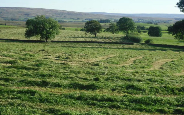 Moor View