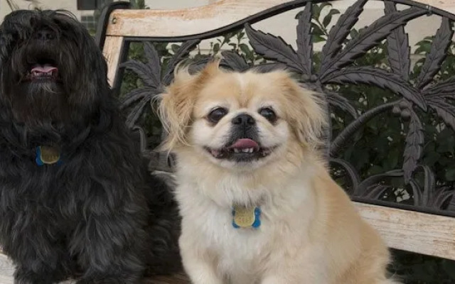 Gateway Studio Suites