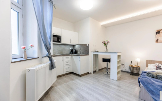 Modern apartments Brno-center