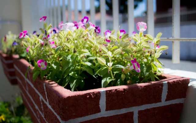 Pousada Residencial Fischer