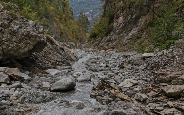 Ferienwohnung Cooldog Kuschelnest