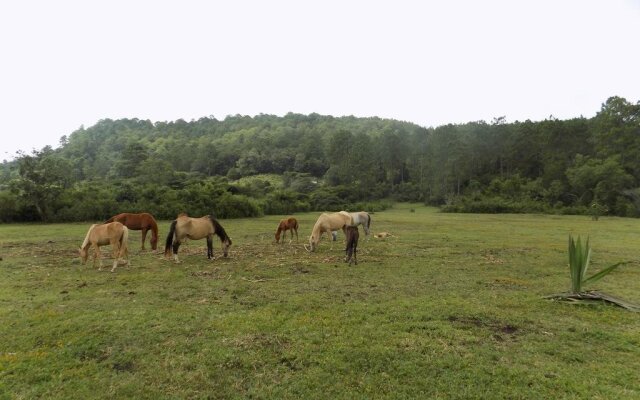 Rancho Hostal La Escondida Eco Park