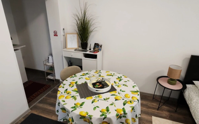 Studio Apartment Enter
