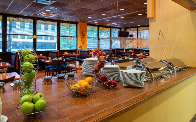 Holiday Inn & Suites Chicago - Downtown by IHG